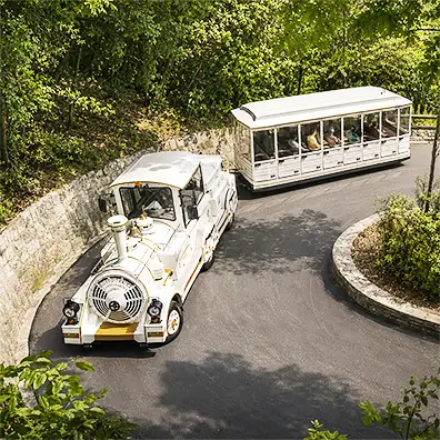 Braking system and suspension of the Mercurio Train for maximum safety